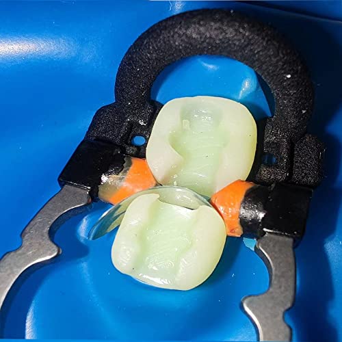 רצועות מטריצות שיניים, מערכת מטריצות מתכת מתארות לחתך מערכת מטריצות להחלפת שיניים כלי שיניים חומר רפואת שיניים