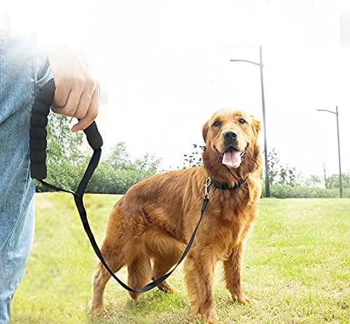 רצועת רצועה לחיות מחמד רצועת ניילון לכלב אימון חיצוני הליכה 2.5 סמ רוחב אורך 1.8 מ '3M 6M 10M 15M 20 מ' 30 מ '50 מ' רצועת כלב