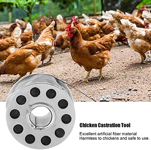 עוף קיפוניזציה קו, עמיד מקצועי עוף קיפוניזציה כלי עבור תרנגול עבור עופות עבור חוות